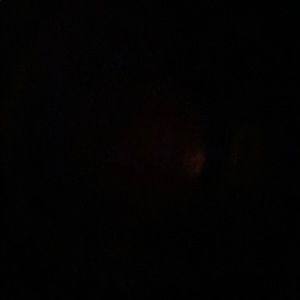 Meet your Posher, Gigi